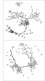 Graph visualization of two daily cumulative networks.